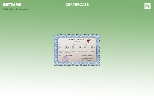 модерен стил Алжир витален рекорд извод од матична книга на родените ПСД шабло